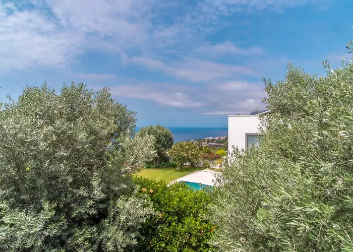 Star With Private Heated Pool In Villa Funchal (Madeira)