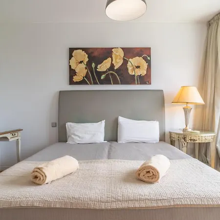 Star With Private Heated Pool In 别墅 *